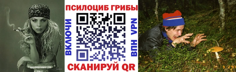 Псилоцибиновые грибы Cubensis Брянск